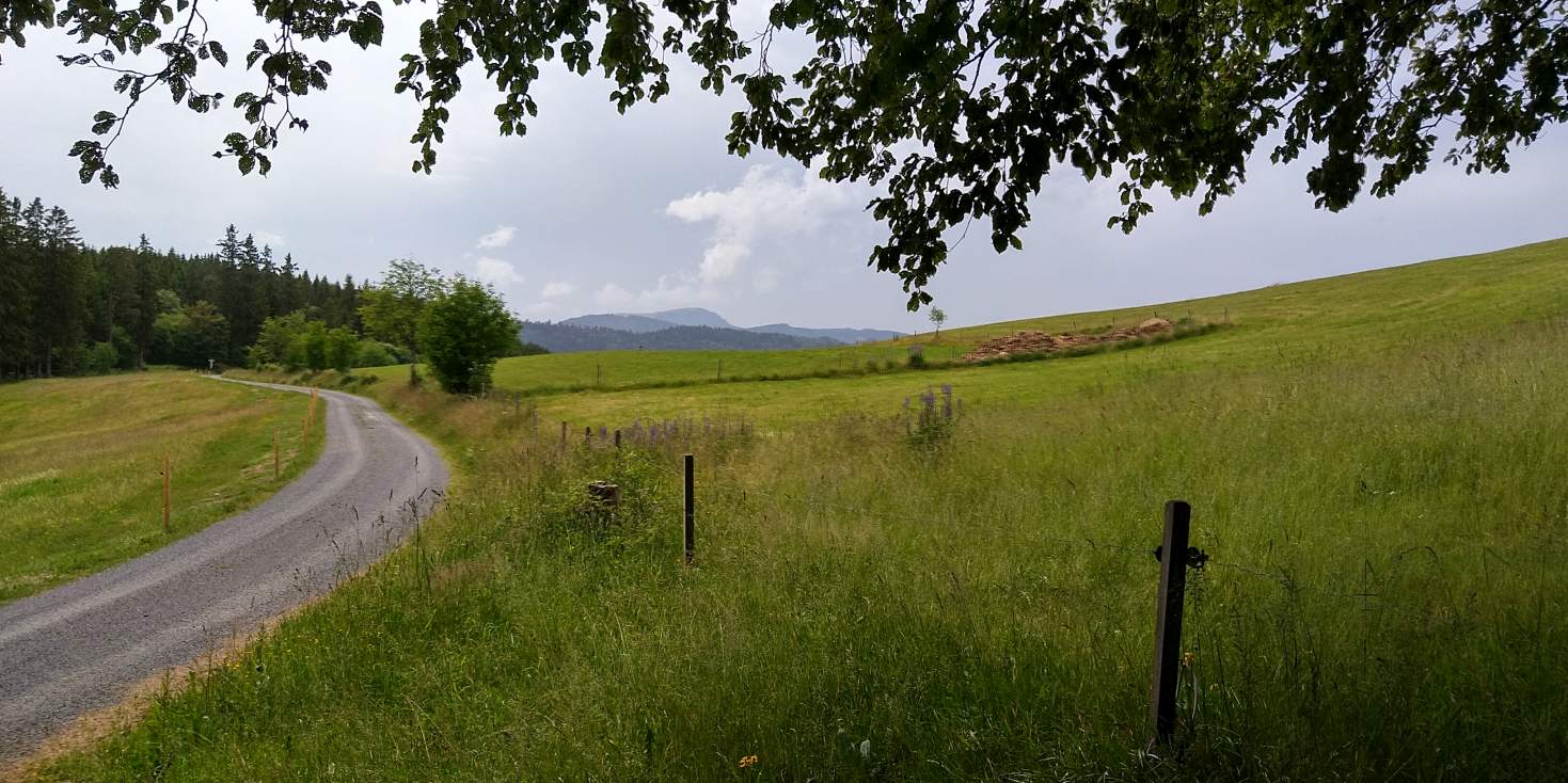 Bildtitel: Feldbergstraße - Blick auf den Belchen