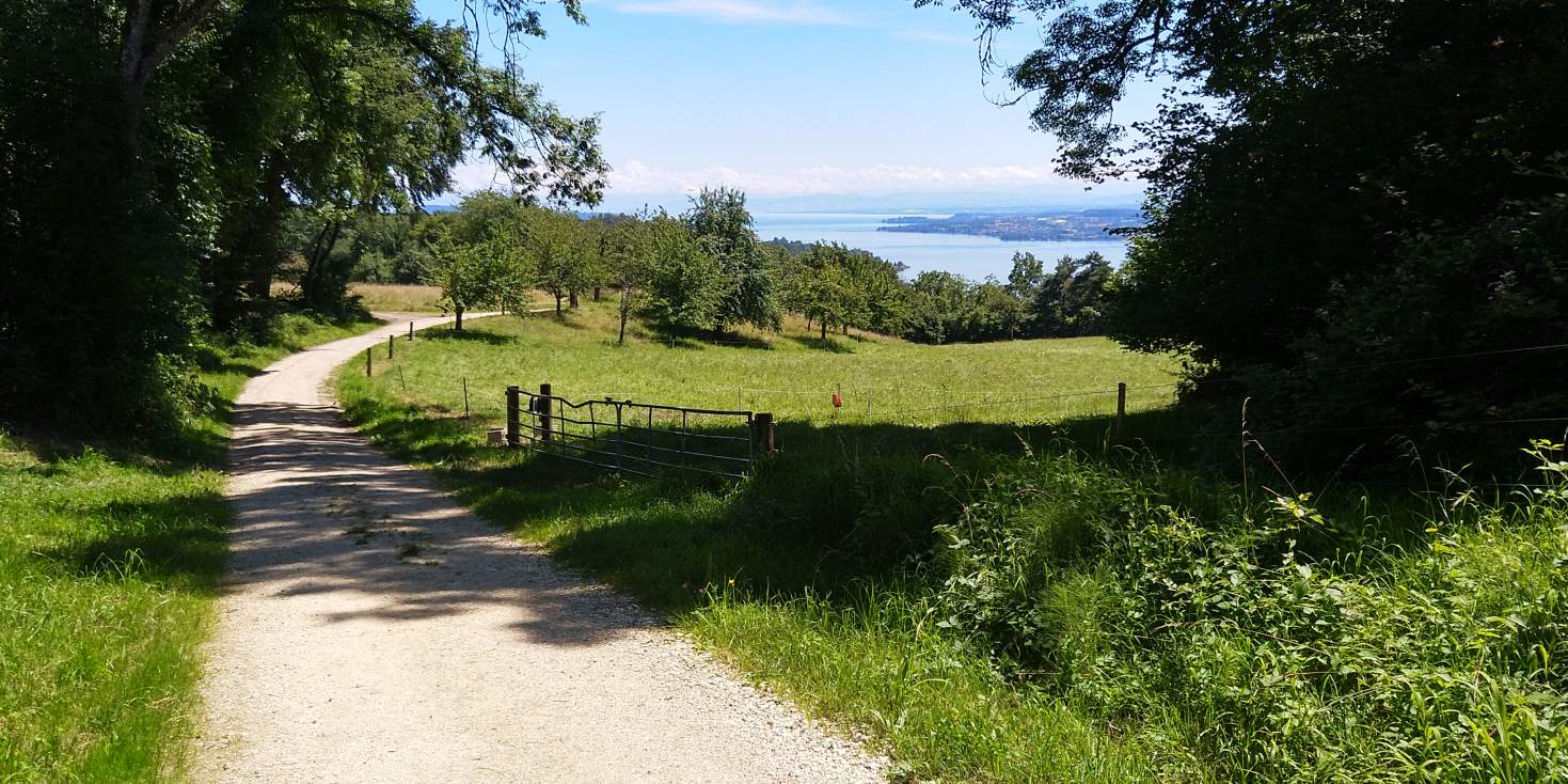 Bildtitel: Wanderweg