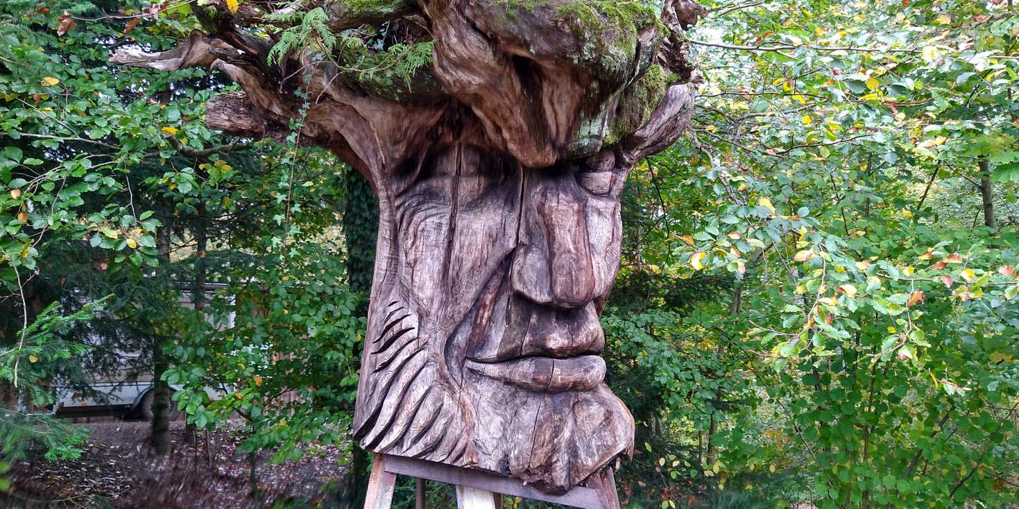 Bildtitel: der Wurzelkopf