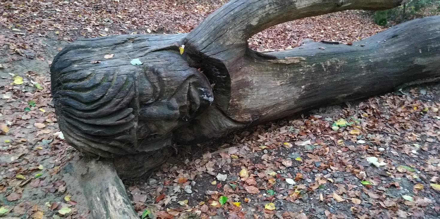 Bildtitel: schlafender Riese