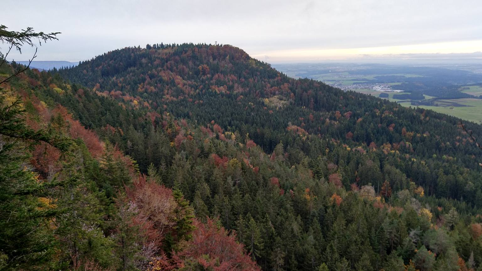 Bildtitel: Lemberg Ostseite