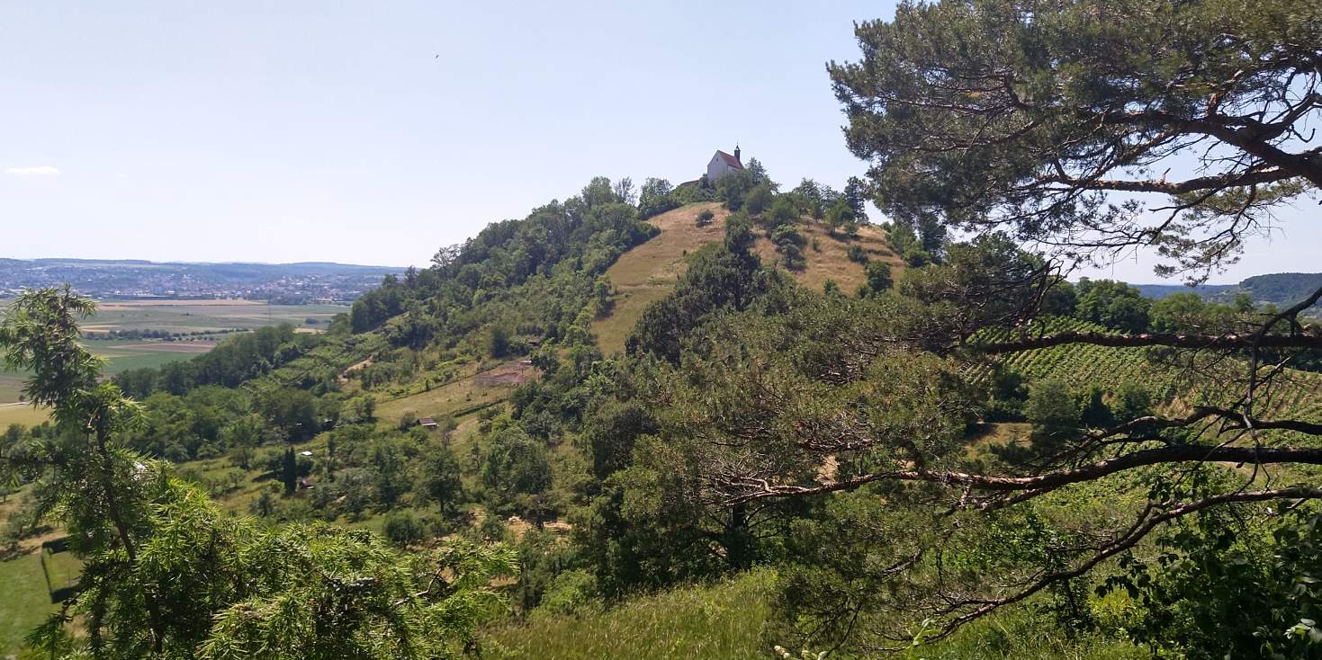 Bildtitel: Kapellenberg