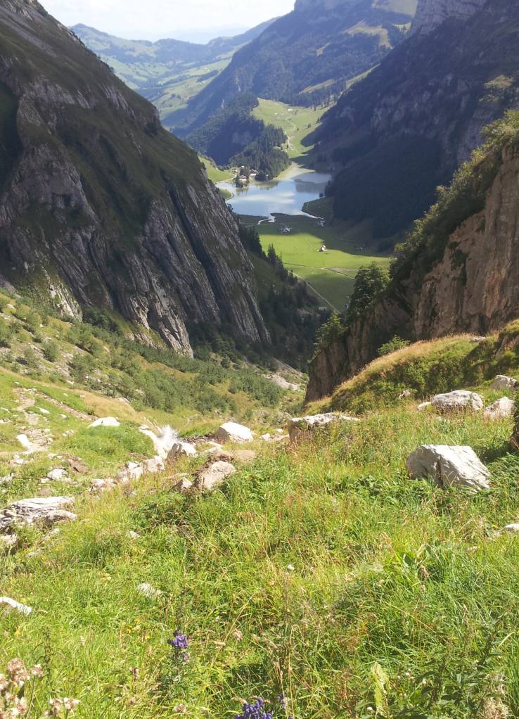 Bildtitel: Ausblick zum Seealpsee