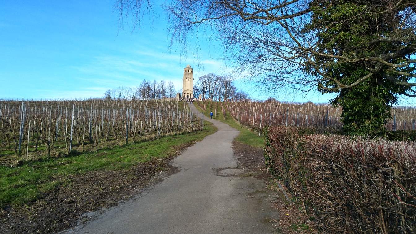 Bildtitel: Bismarksteig hinauf zum Bismarkturm