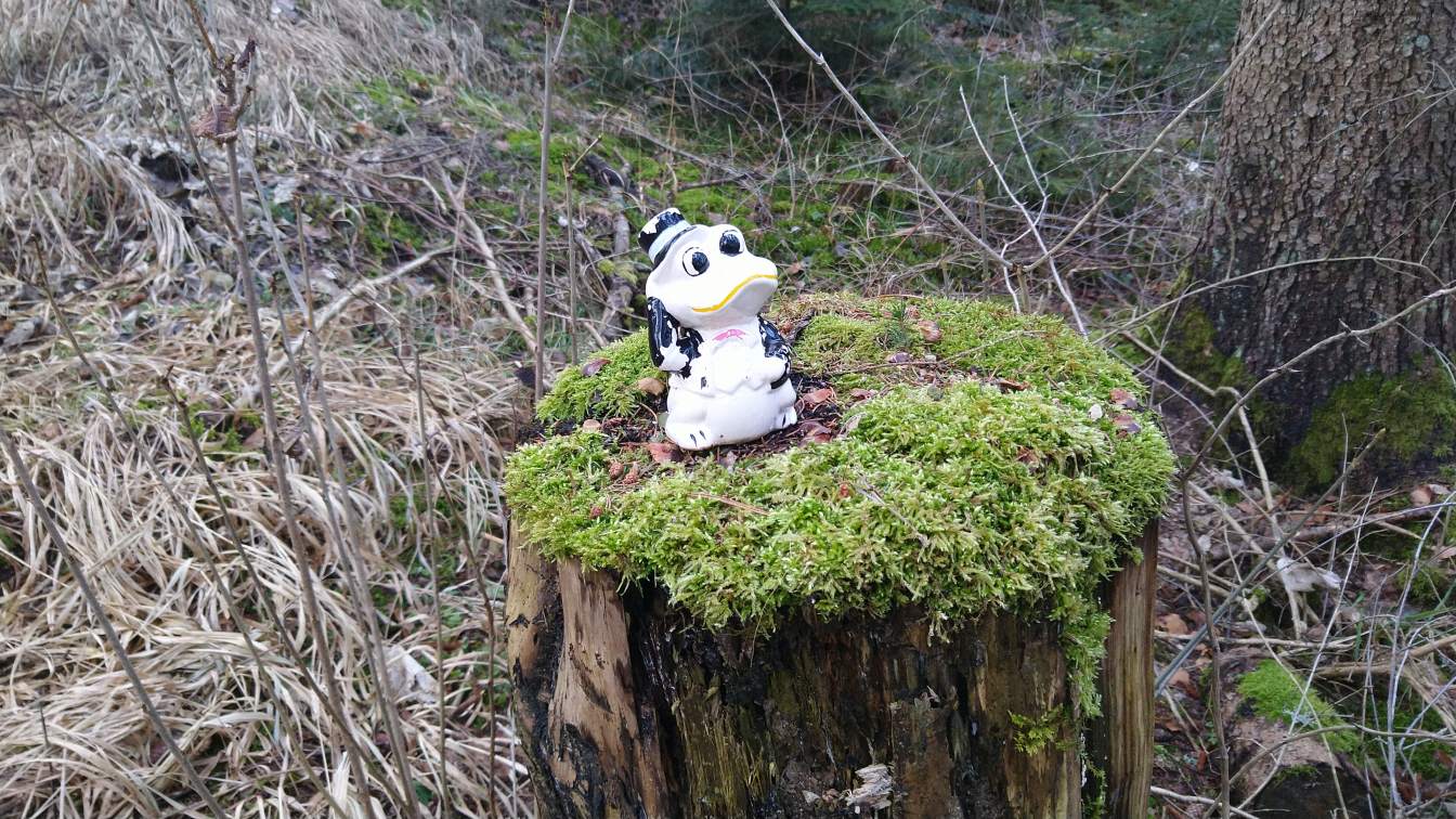 Bildtitel: Porzellanfrosch