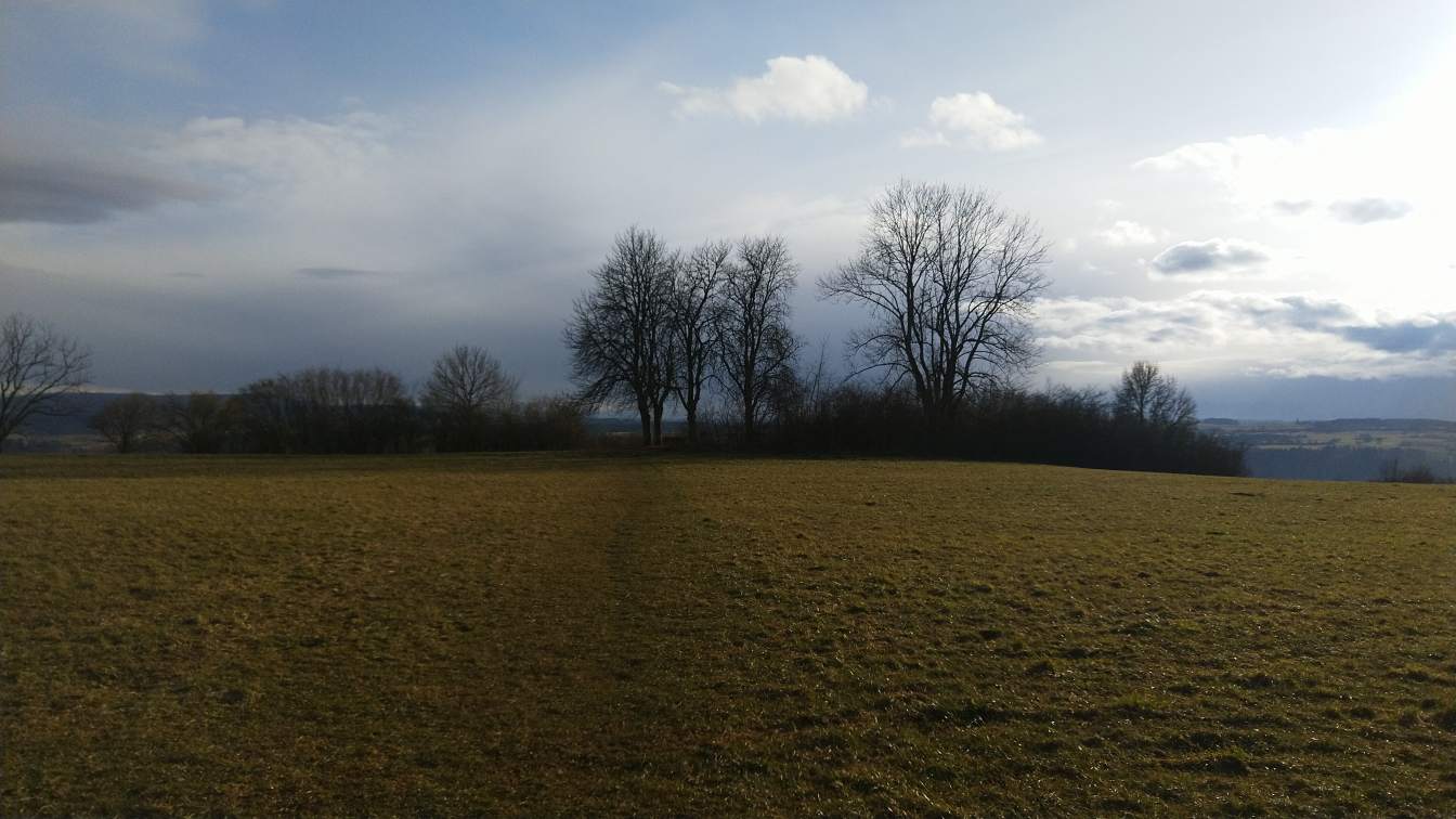 Bildtitel: Weg zum Schellenberg