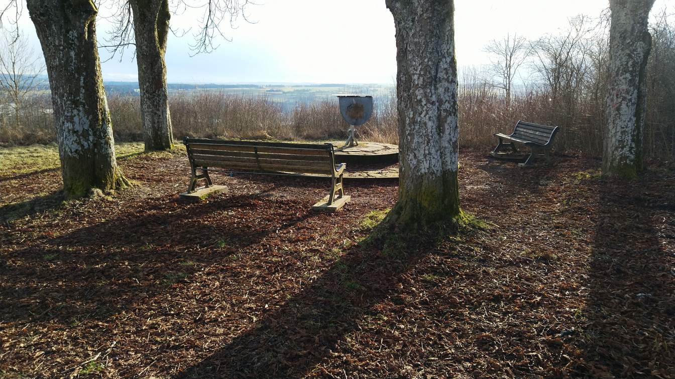 Bildtitel: am Schellenberg