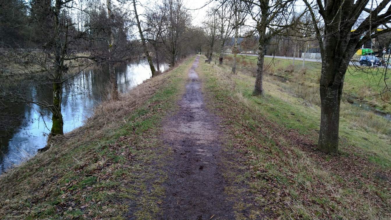 Bildtitel: an der Breg