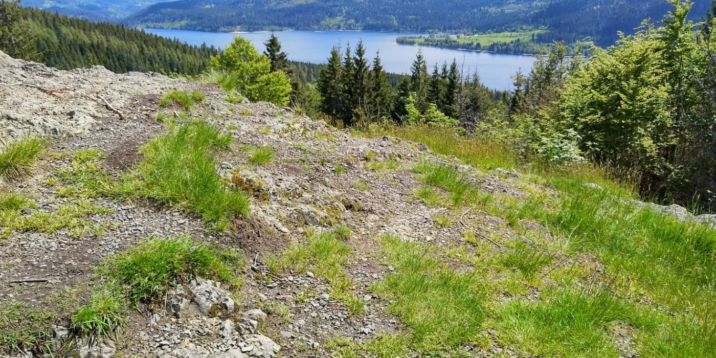 Bildtitel: Schluchsee