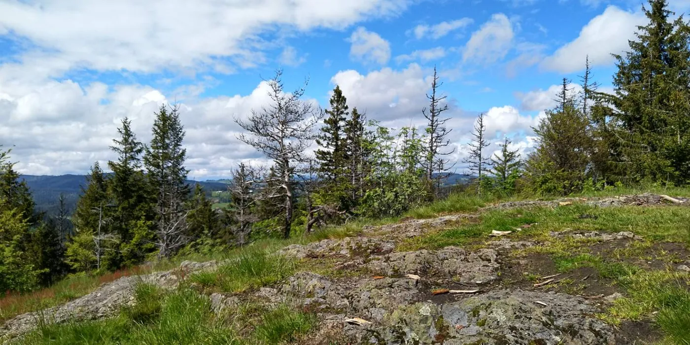 Bildtitel: auf dem Bildstein