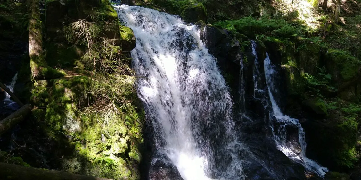 Bildtitel: Windberg Wasserfall