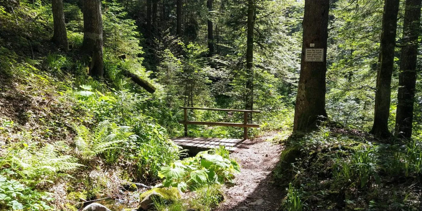 Bildtitel: Hohwehraschlucht