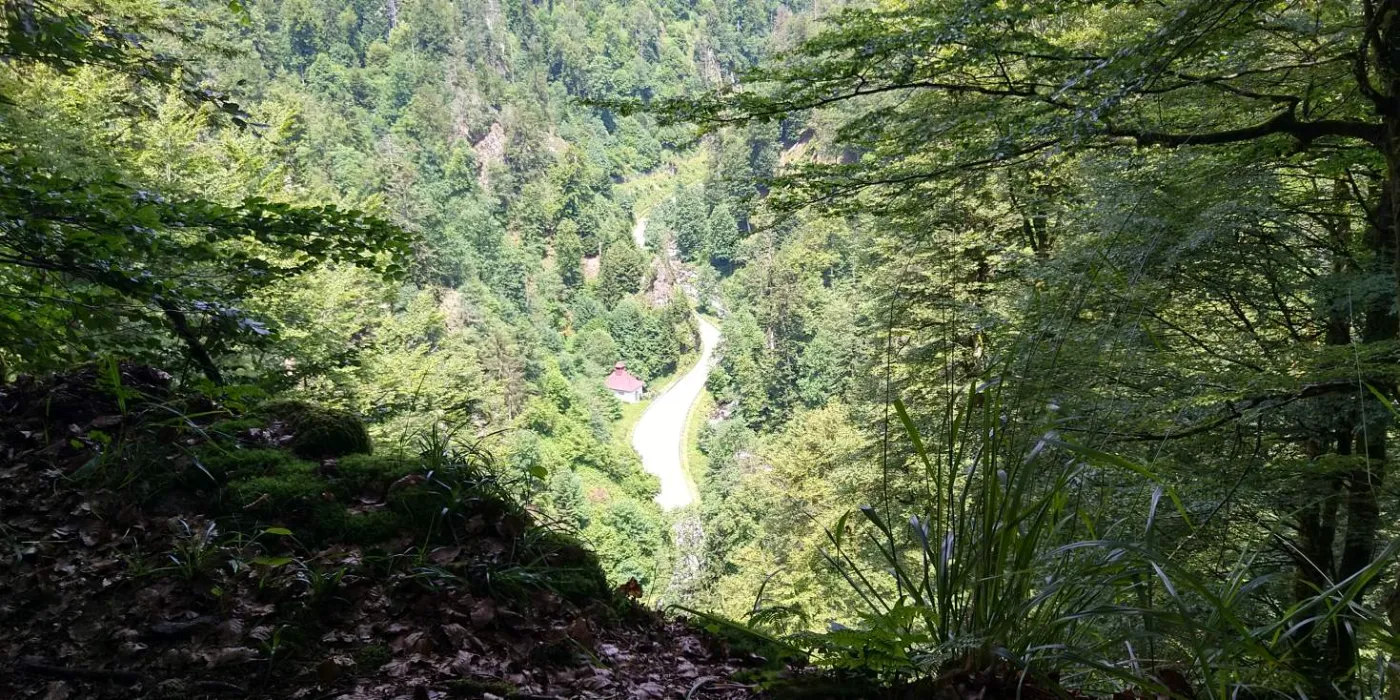 Bildtitel: Blick auf die Straße