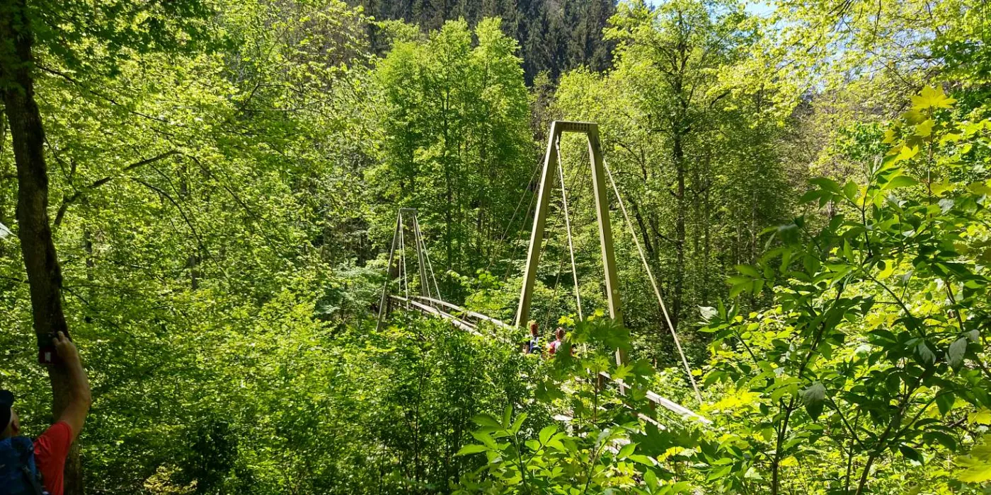 Bildtitel: Hängebrücke