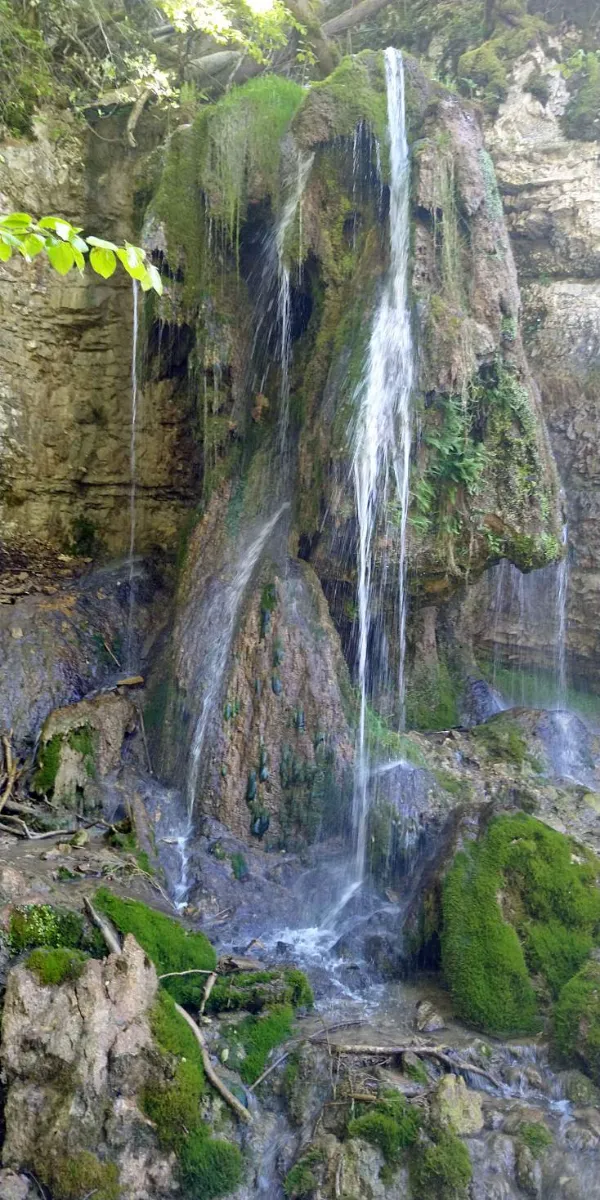 Bildtitel: Tannegger Wasserfall