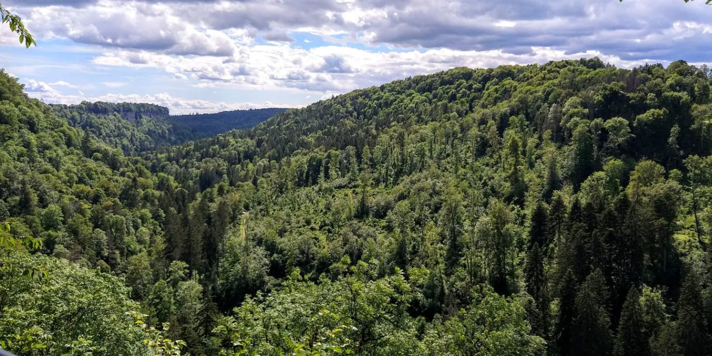 Bildtitel: Blick in die Schlucht