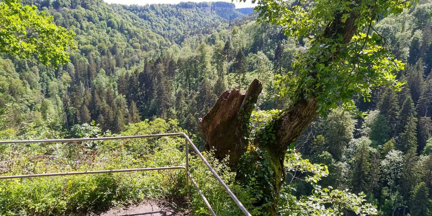 Bildtitel: Aussichtspunkt