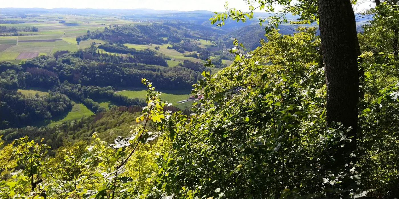 Bildtitel: auf dem Buchberg