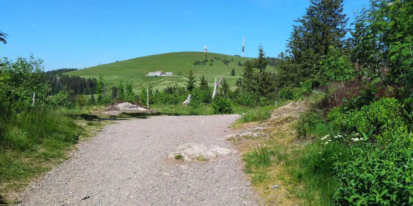 Bildtitel: Der Feldberg