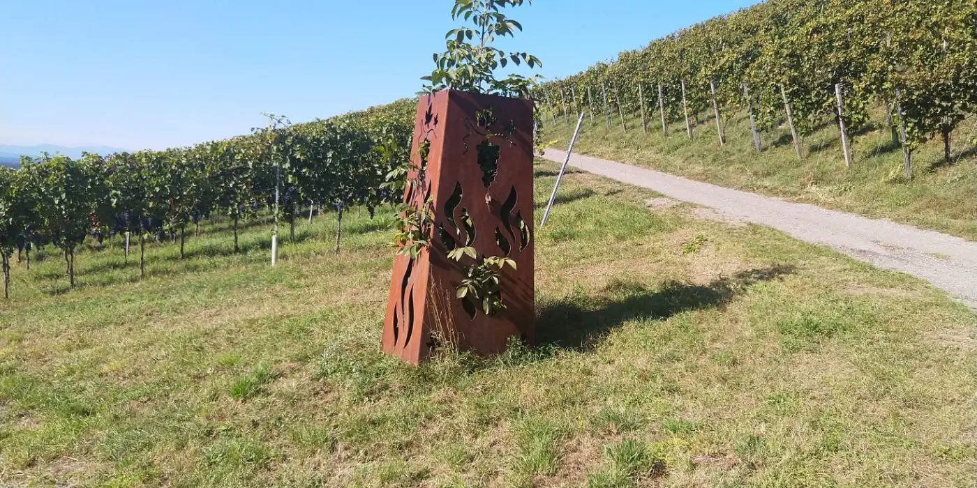 Bildtitel: Weinberge bei Weil am Rhein