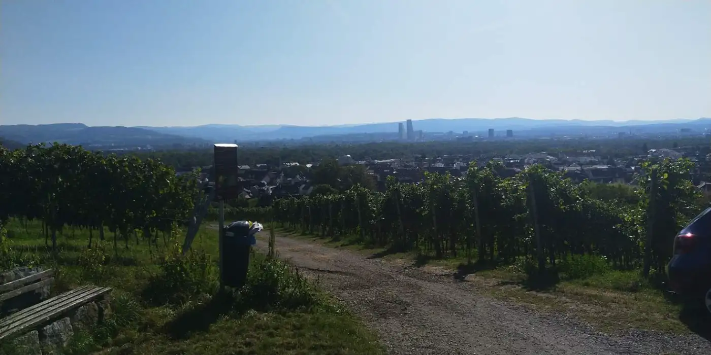 Bildtitel: Aussicht auf Basel und die Rochetürme