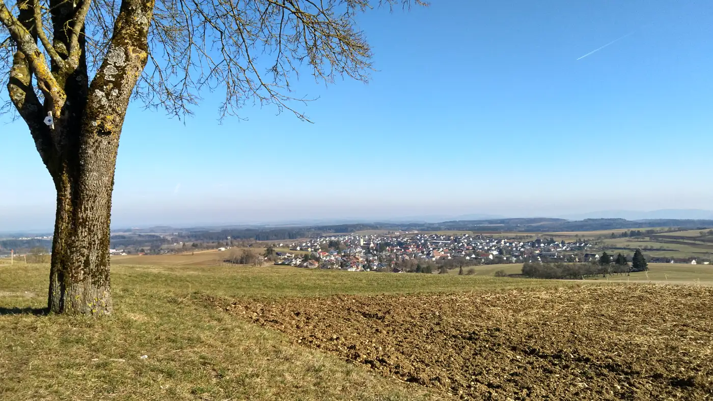 Bildtitel: Blick auf Emmingen