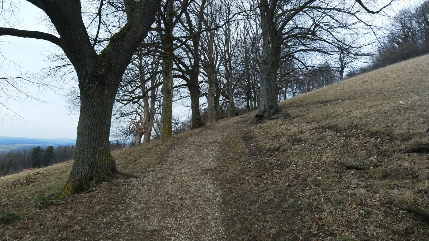 Bildtitel: letze Etappe des Aufstiegs