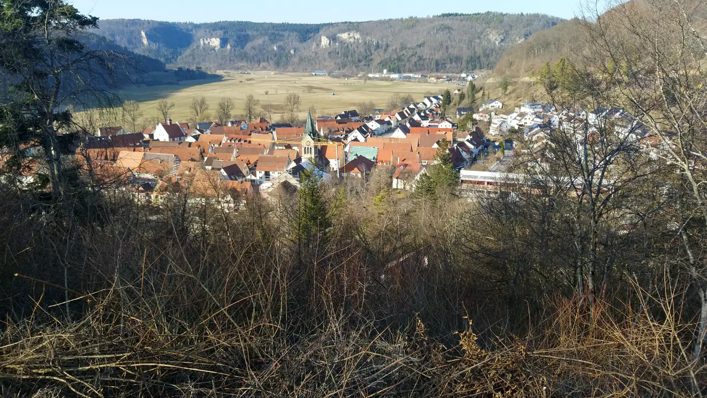 Bildtitel: Fridingen