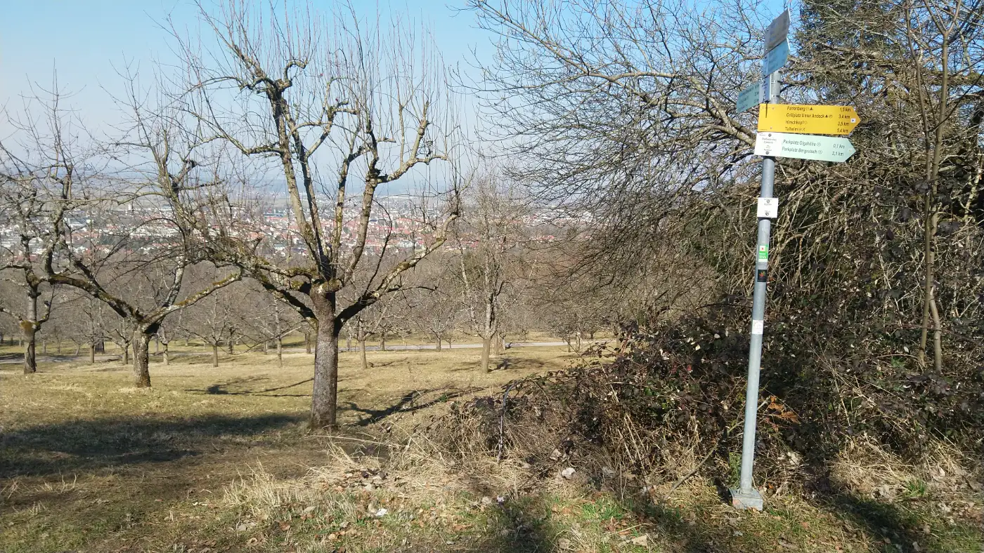 Bildtitel: Streuobstwiesen bei Mössingen im März