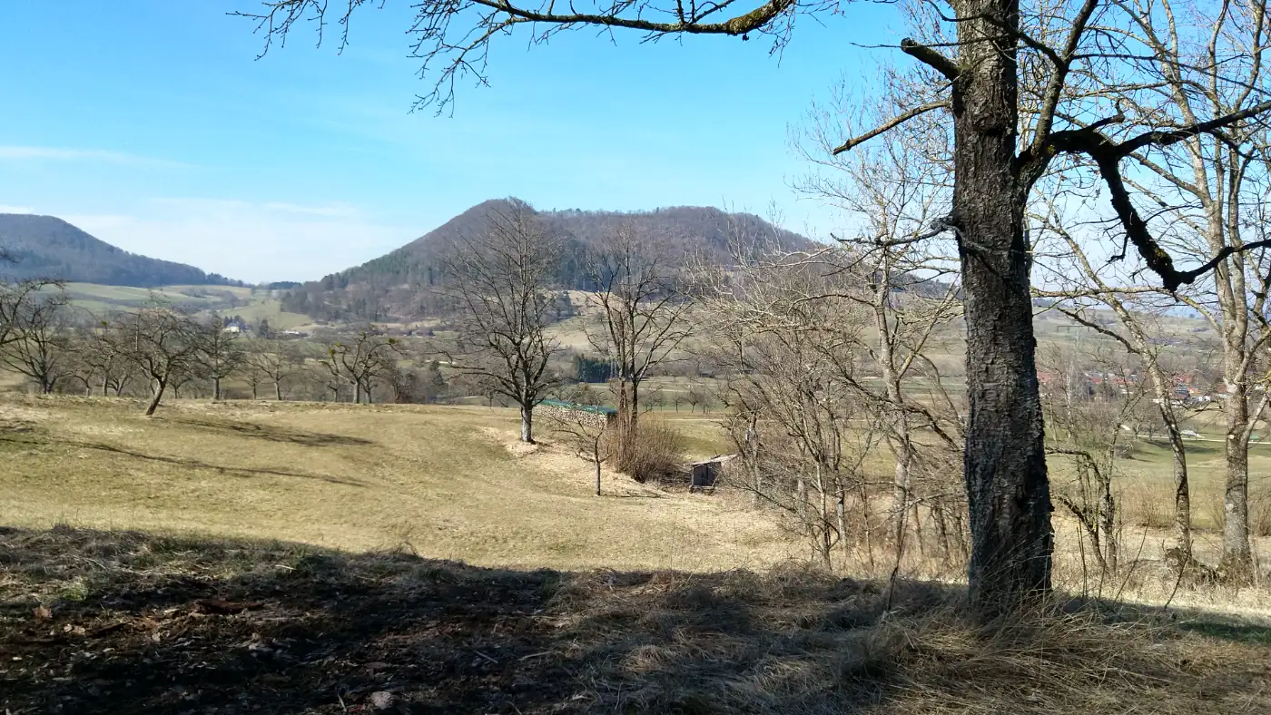 Bildtitel: Der Farrenberg