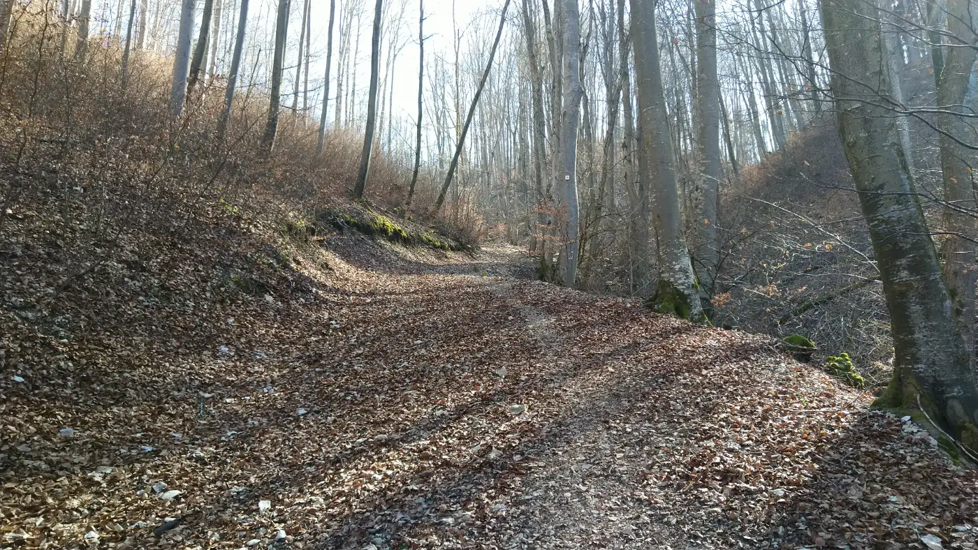 Bildtitel: steiler Weg