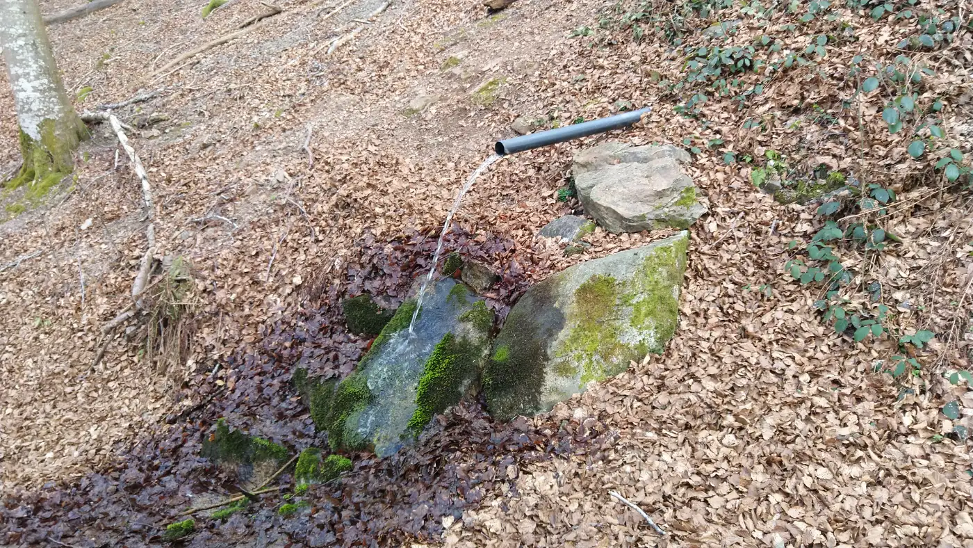 Bildtitel: Reutengrundquelle