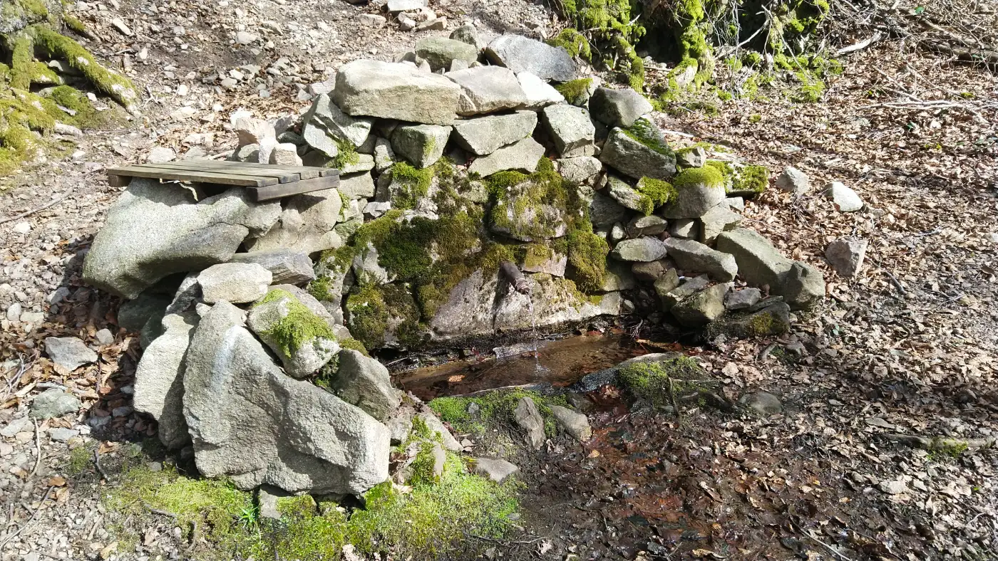 Bildtitel: Michelsbur Brunnen