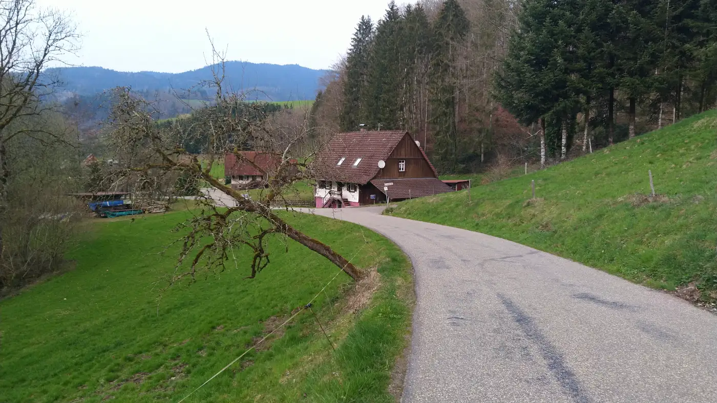 Bildtitel: Waldhäuserstraße