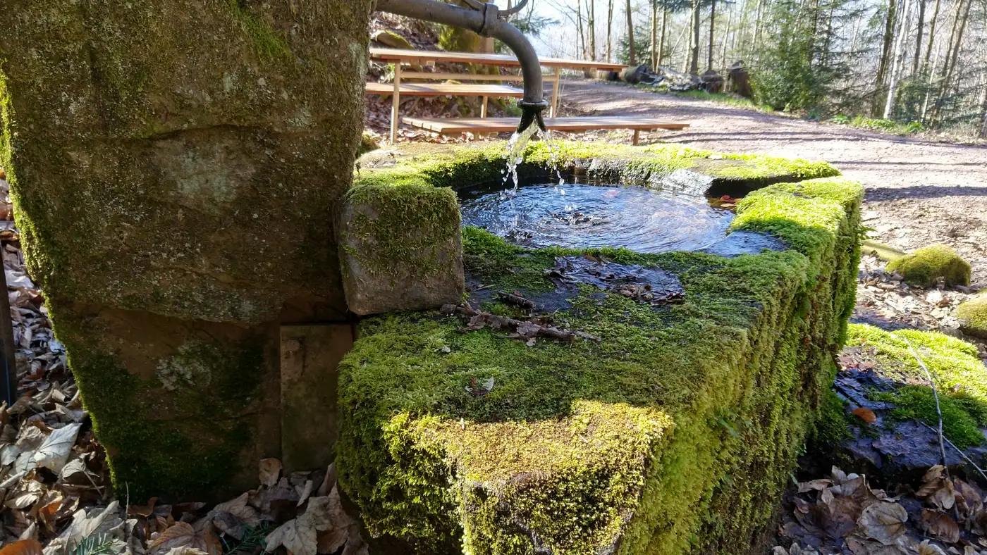 Bildtitel: Hirschquelle