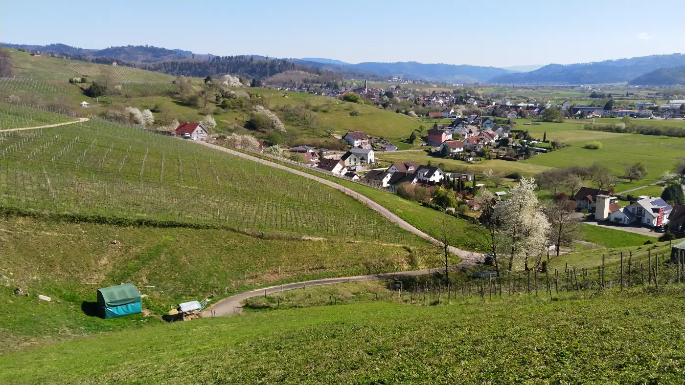 Bildtitel: Blick zurück nach Gengenbach