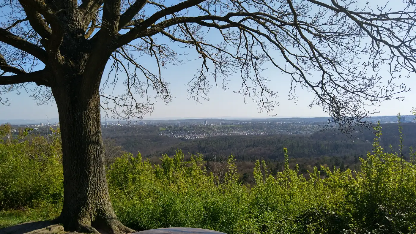 Bildtitel: View from Birkenkopf