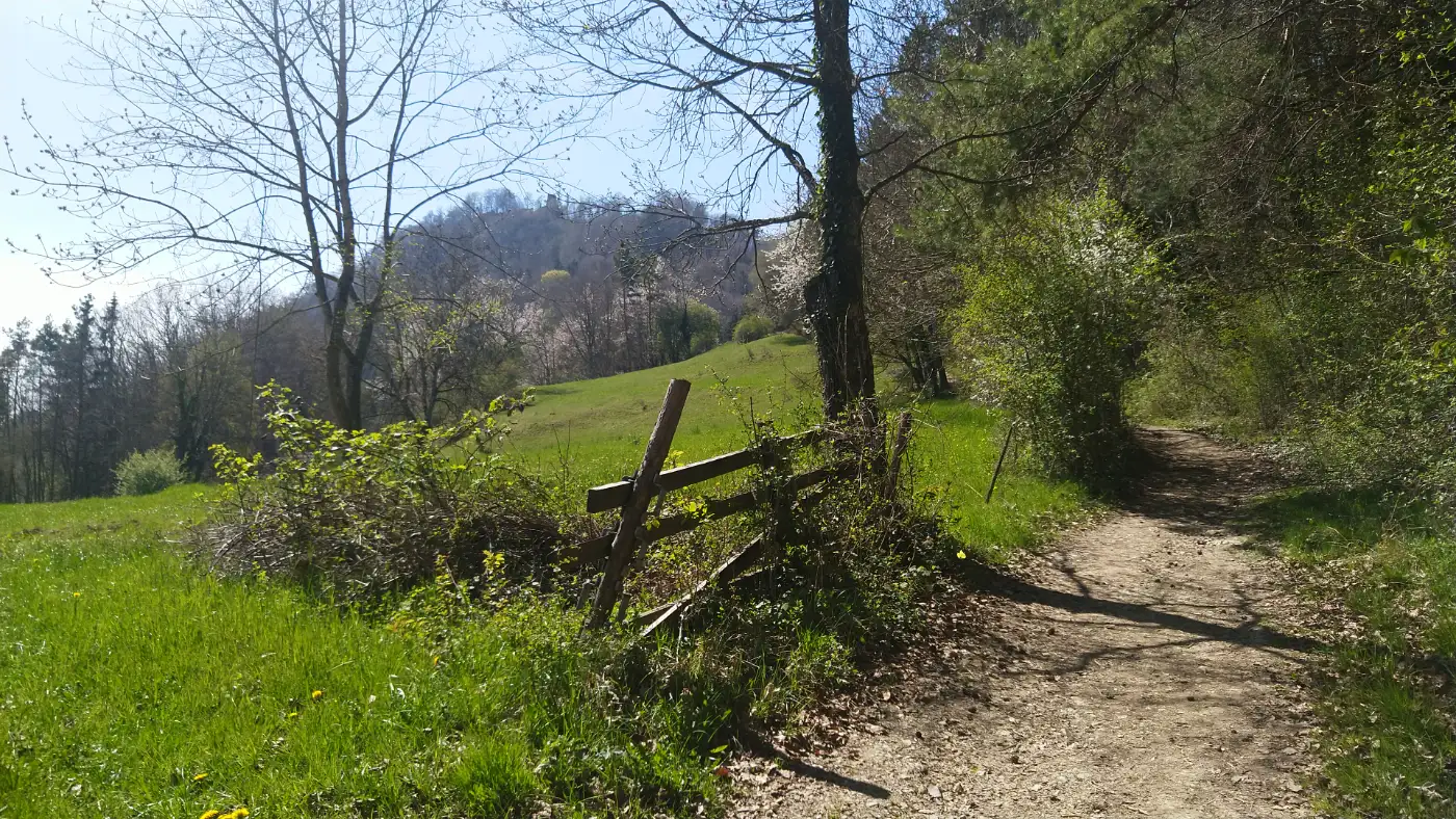 Bildtitel: Aufstieg Hohenhewen