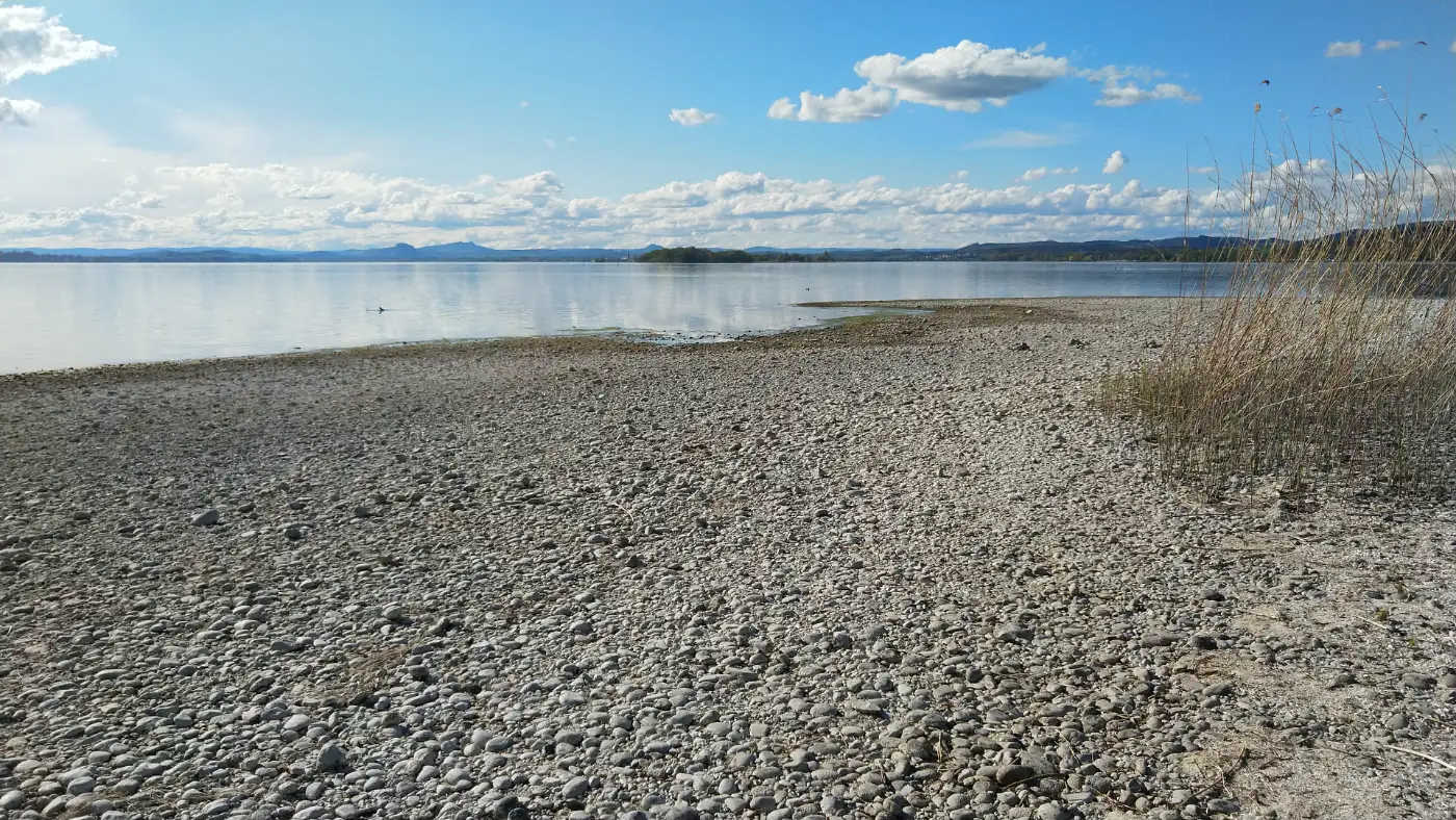 Bildtitel: Seeufer mit Blick auf die Hegauberge
