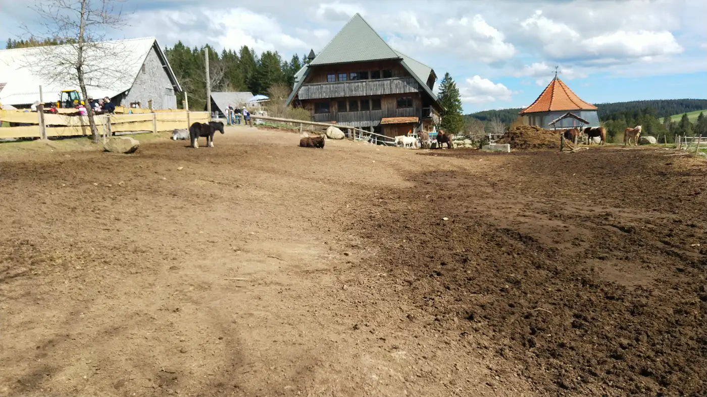 Bildtitel: Reinertonishof