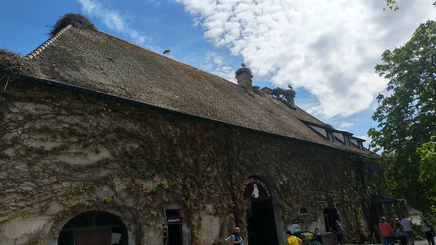 Bildtitel: Storchennester