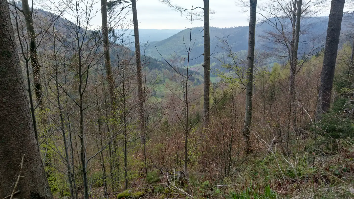 Bildtitel: Blick ins Elztal