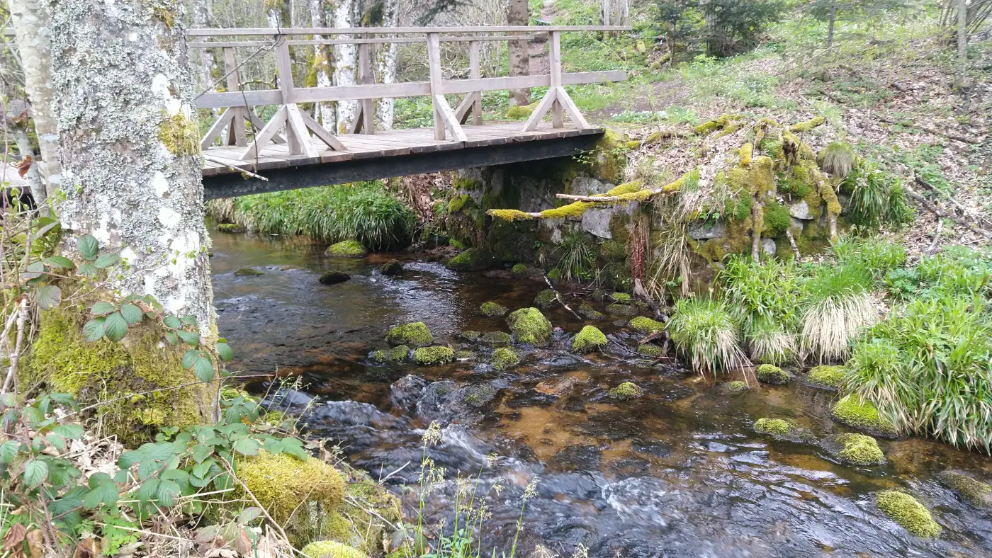 Bildtitel: Elzbrücke