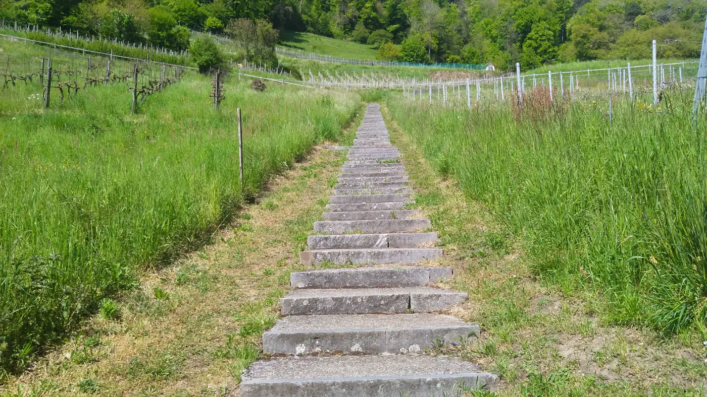 Bildtitel: Aufstieg zur Burg