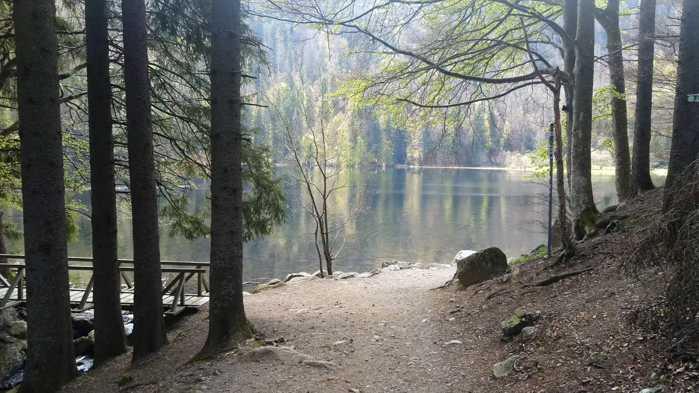 Bildtitel: Feldsee