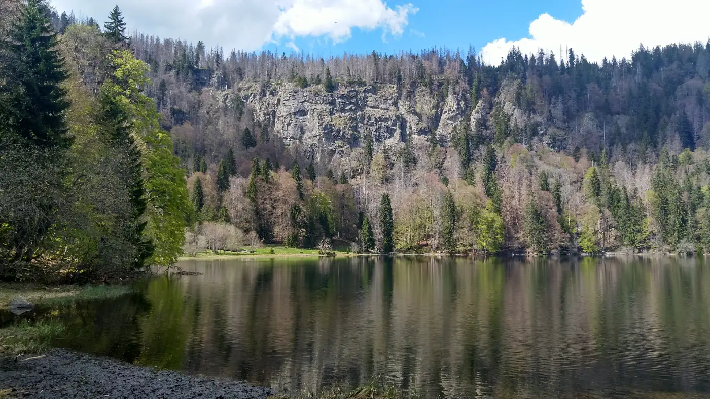 Bildtitel: Feldberg-Ostwand