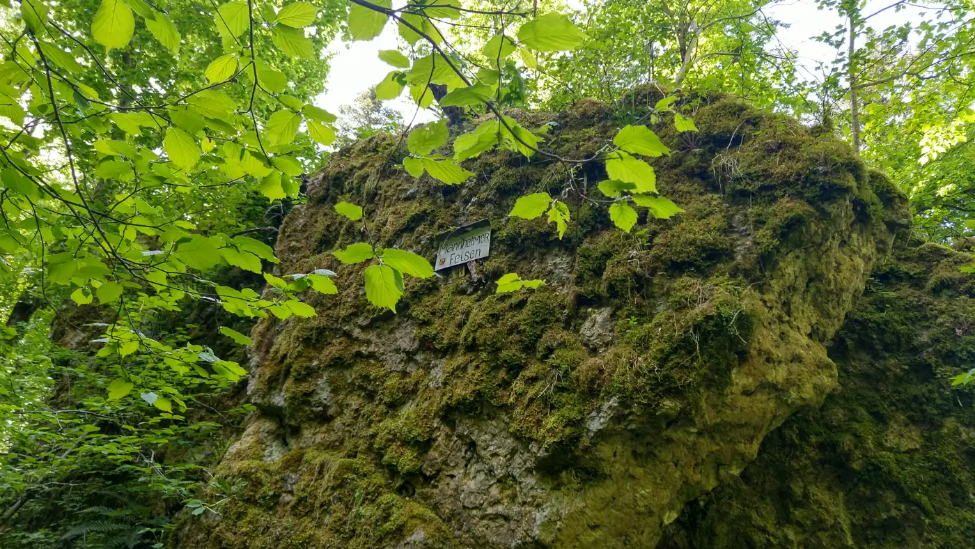 Bildtitel: Mannheimer Felsen