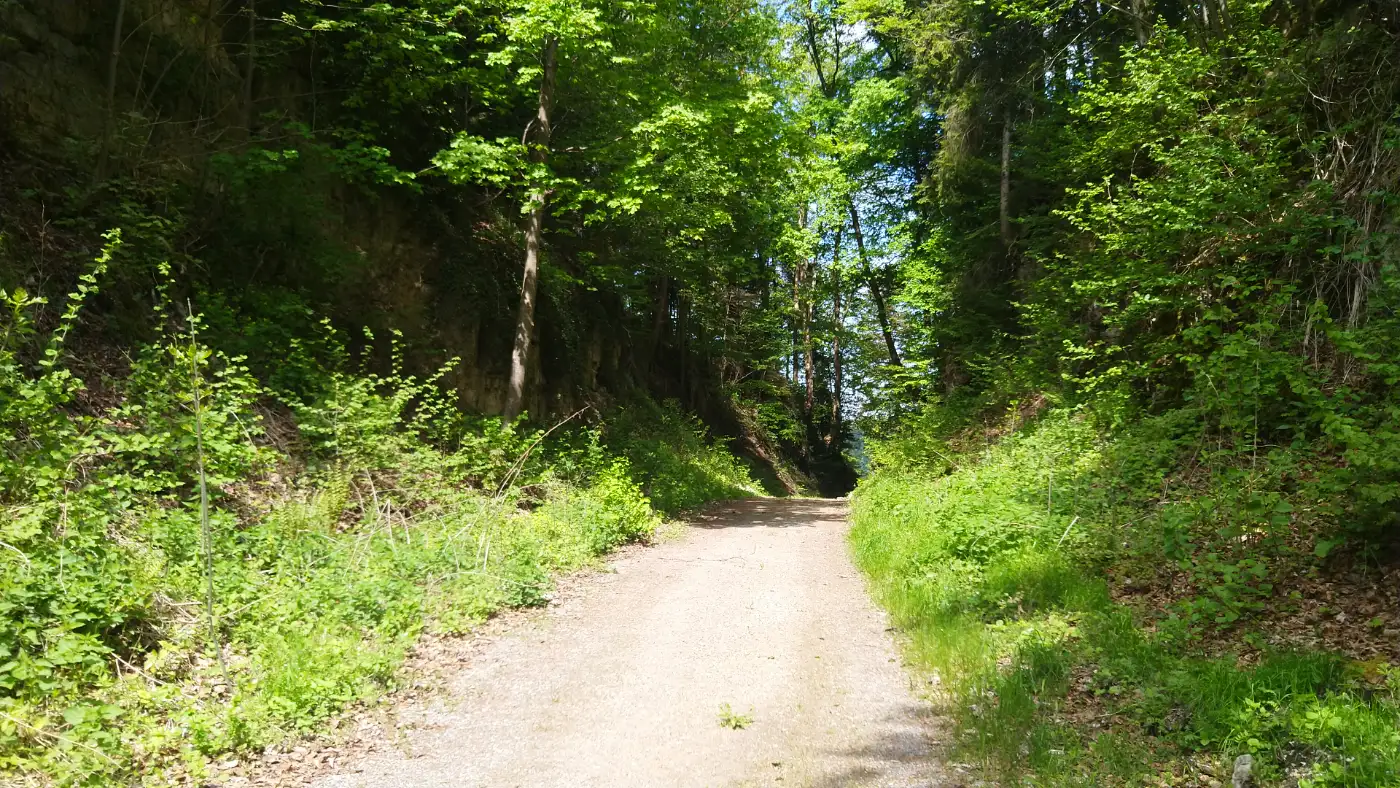 Bildtitel: Schlucht nahe Burg Waseneck