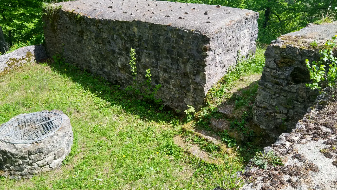 Bildtitel: Burgruine Waseneck