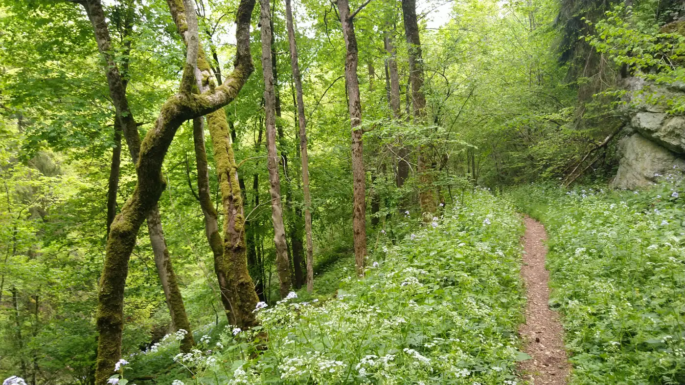 Bildtitel: Abstieg ins Tal